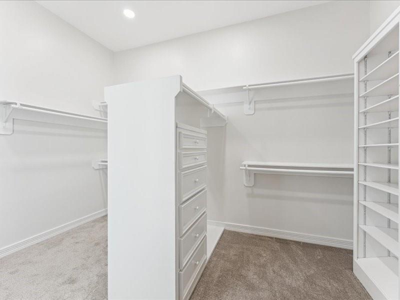 11404 Island Manor Street