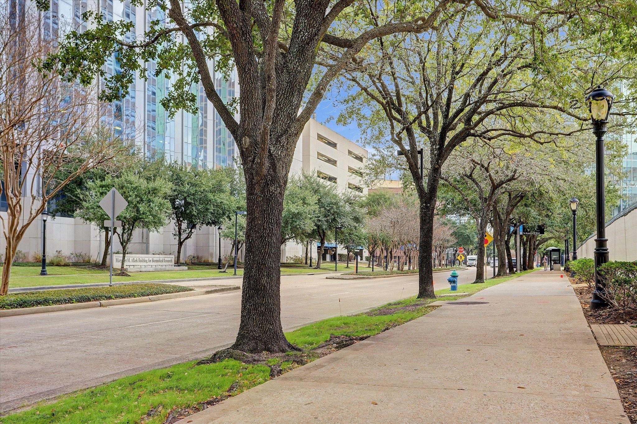 8100 Cambridge Street # 123