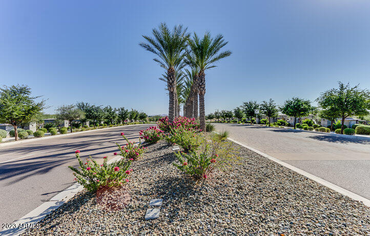 24652 N 170TH Drive