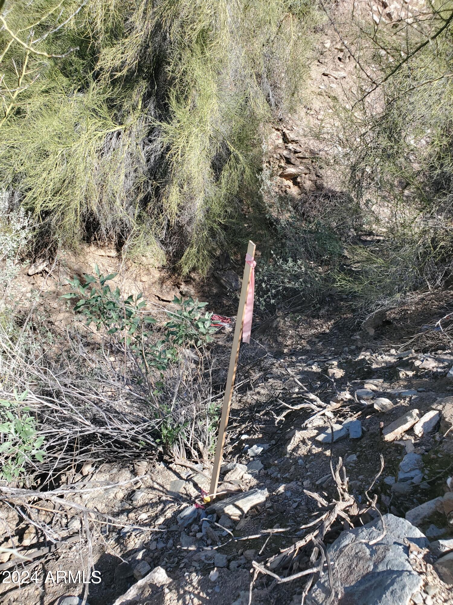 1848 E CINNABAR Avenue, -