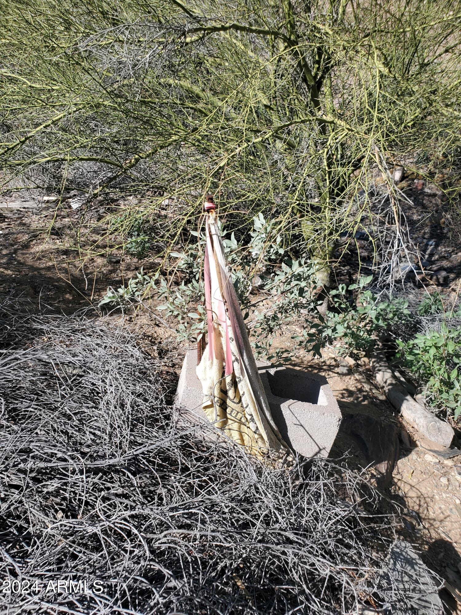 1848 E CINNABAR Avenue, -