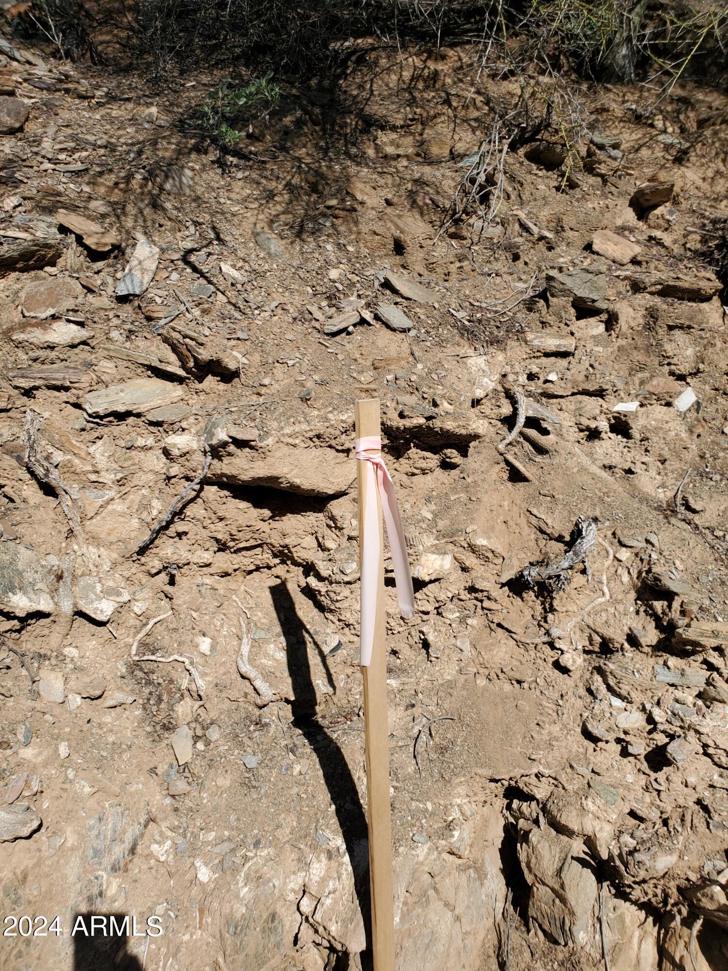 1848 E CINNABAR Avenue, -