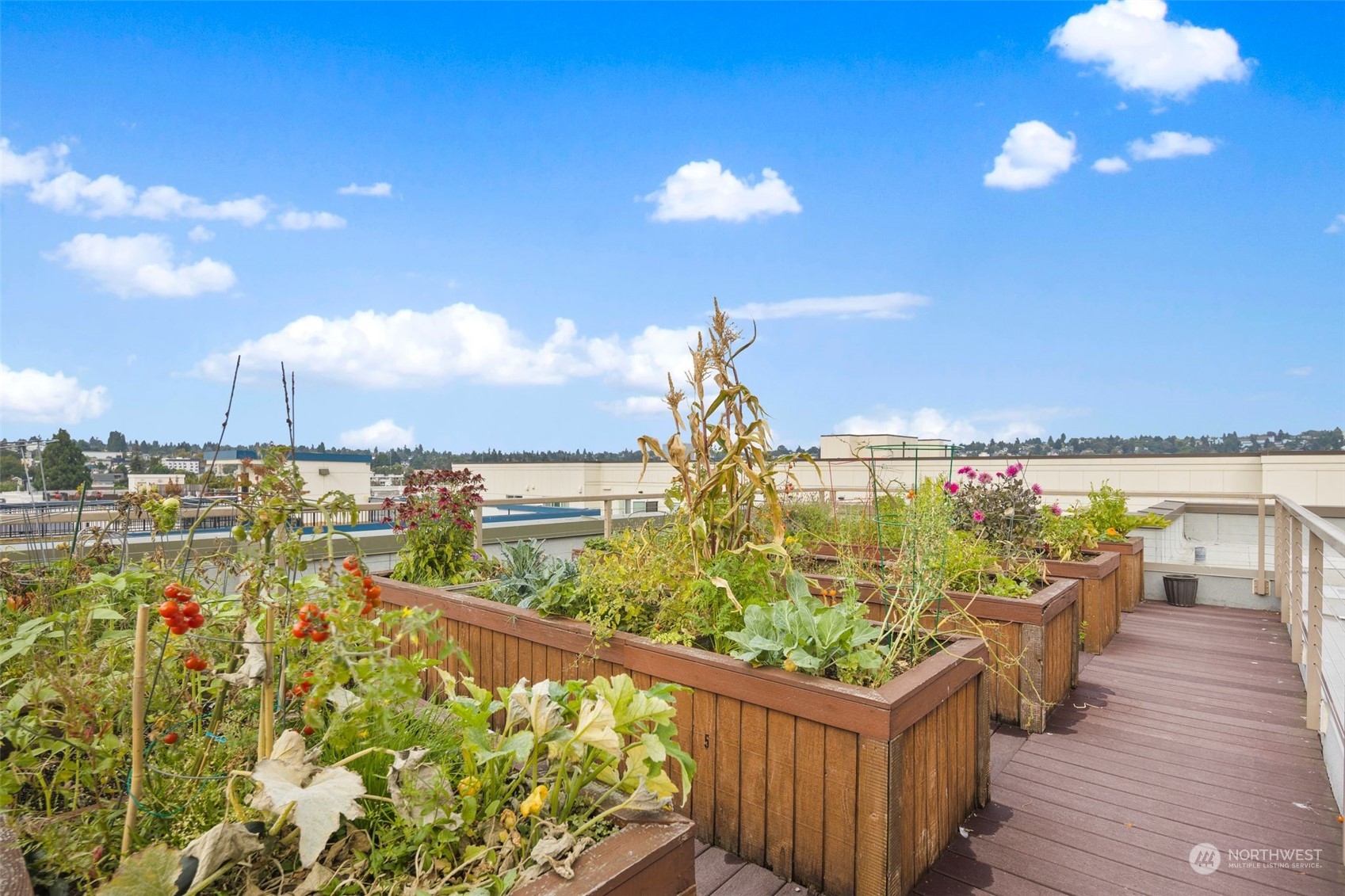 1530 NW Market Street Unit: 607