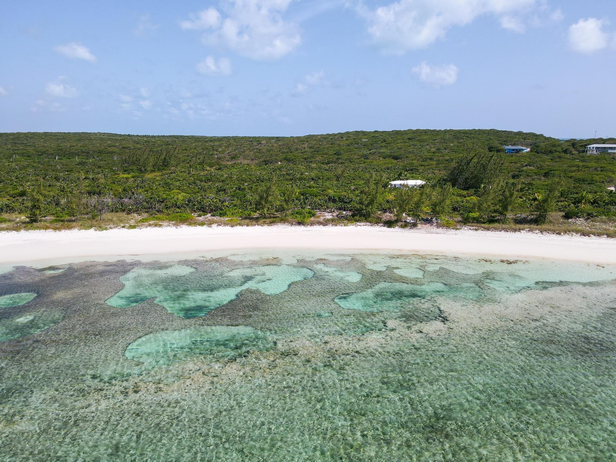 Turtle Cove, Long Island