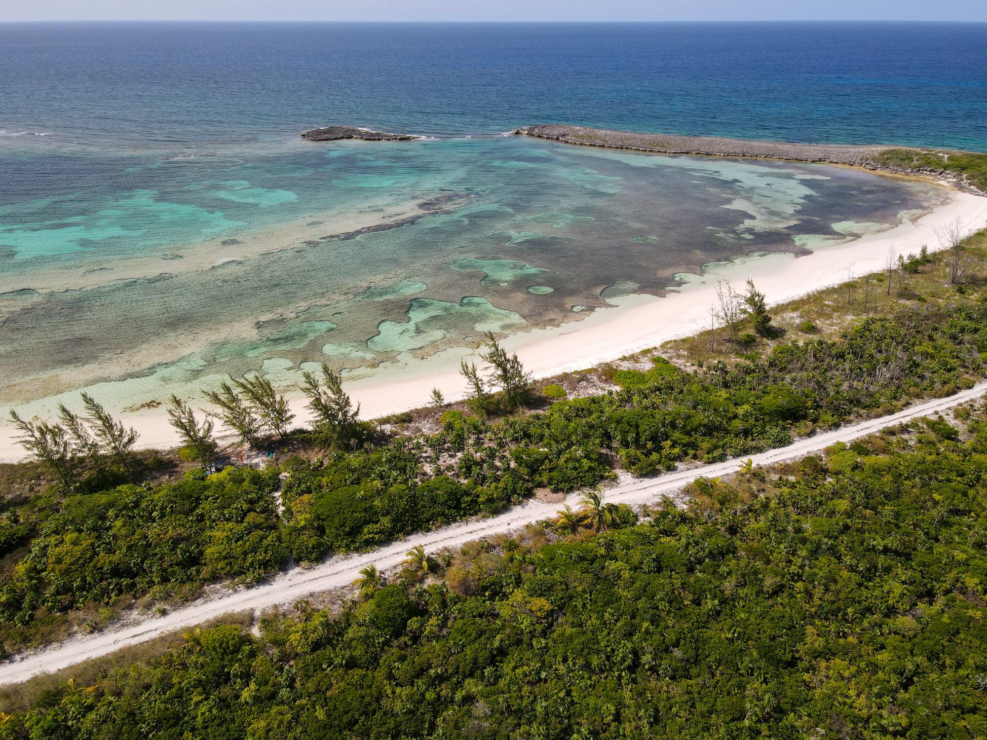 Turtle Cove, Long Island