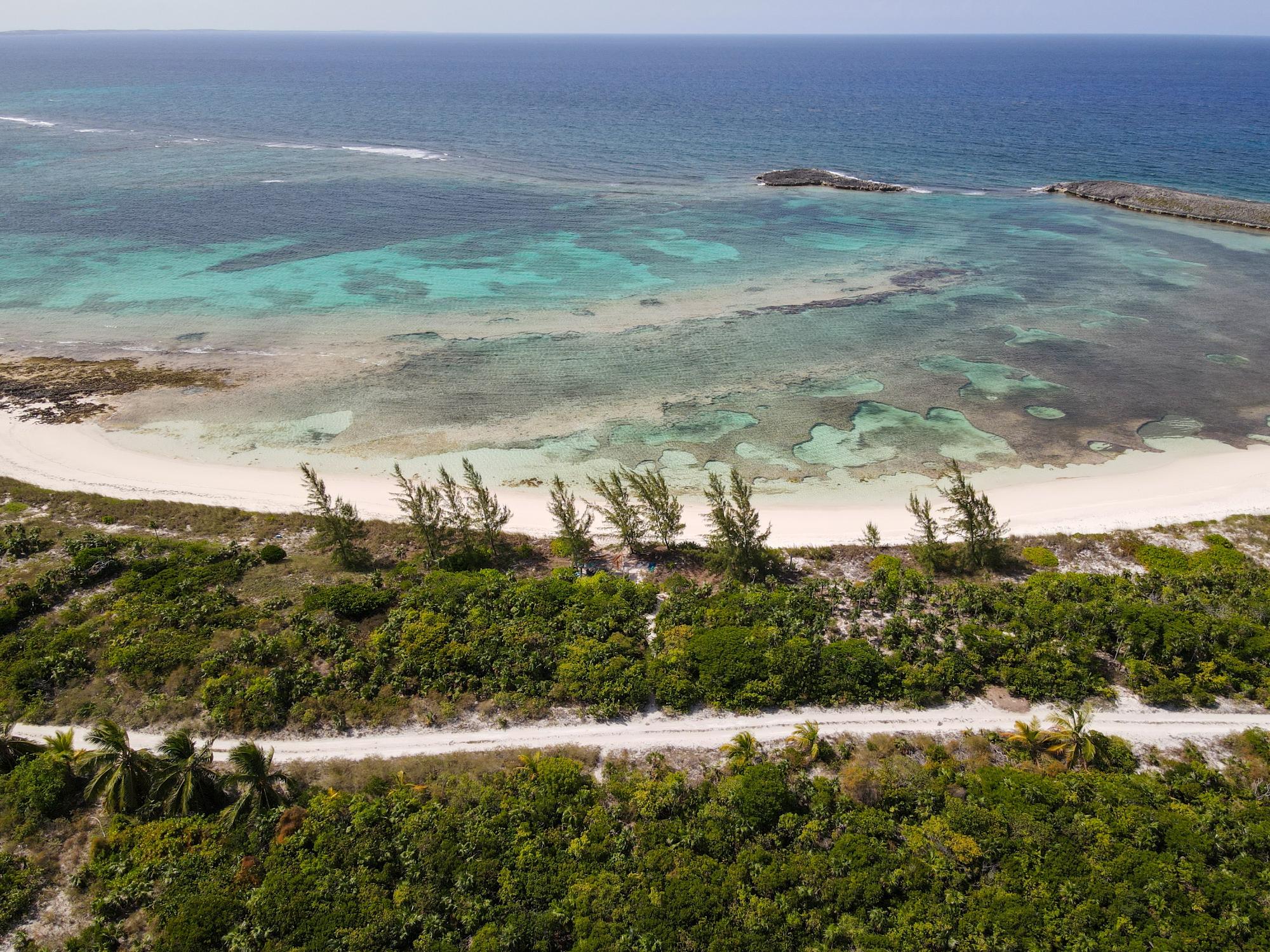 Turtle Cove, Long Island