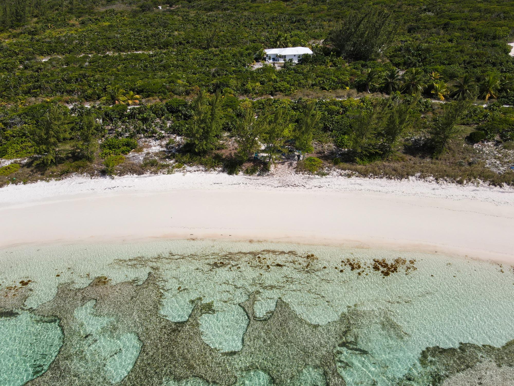 Turtle Cove, Long Island