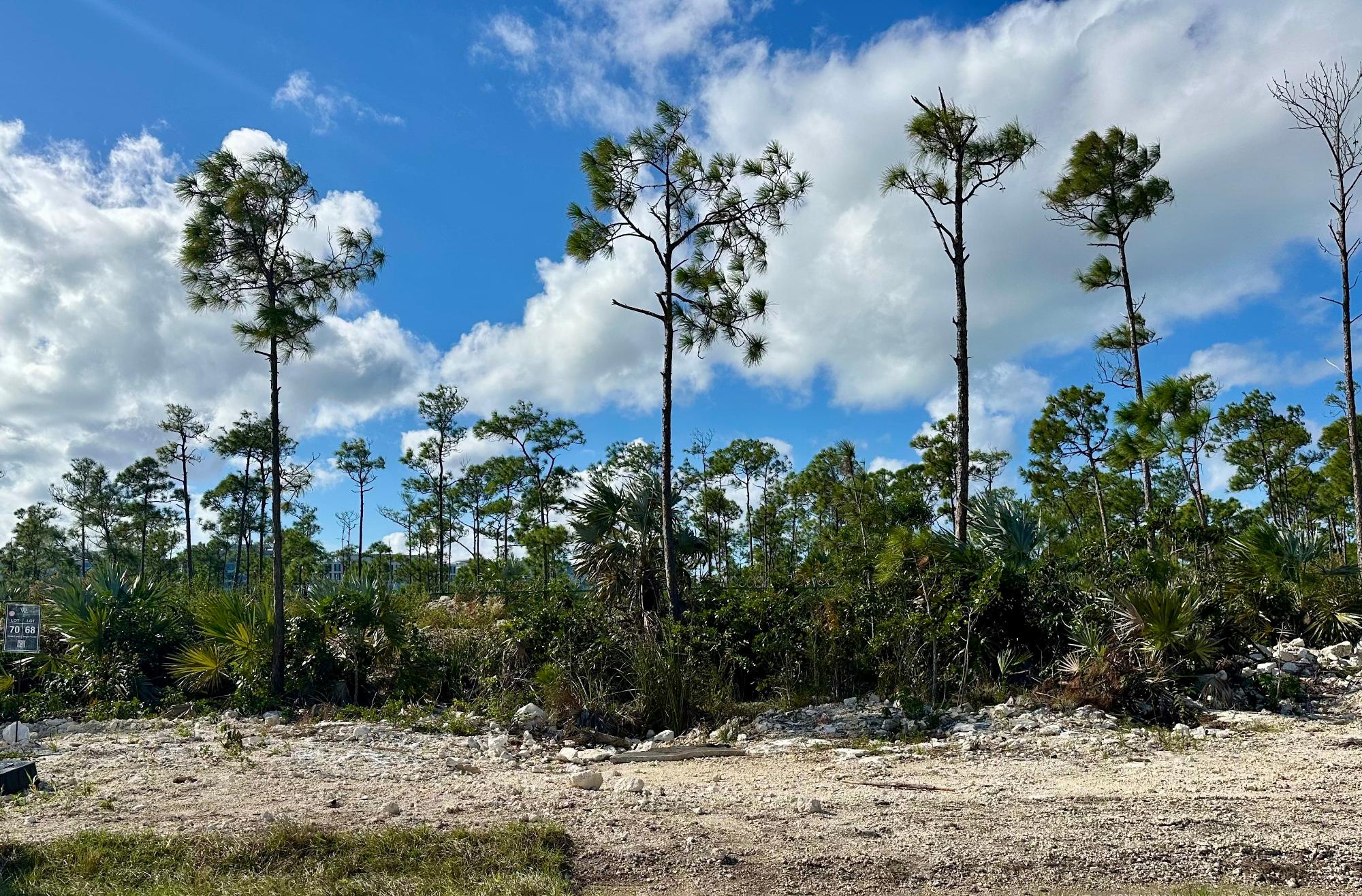 WINDSOR LAKES Unit: LOT 68