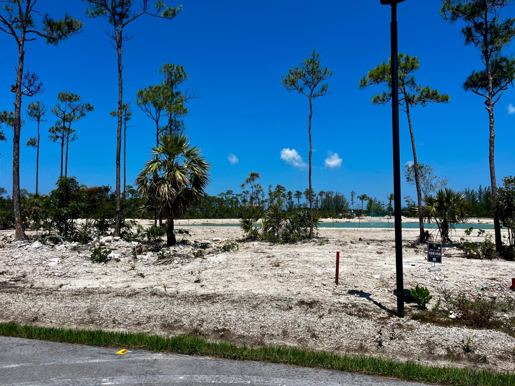 WINDSOR LAKES Unit: LOT 169