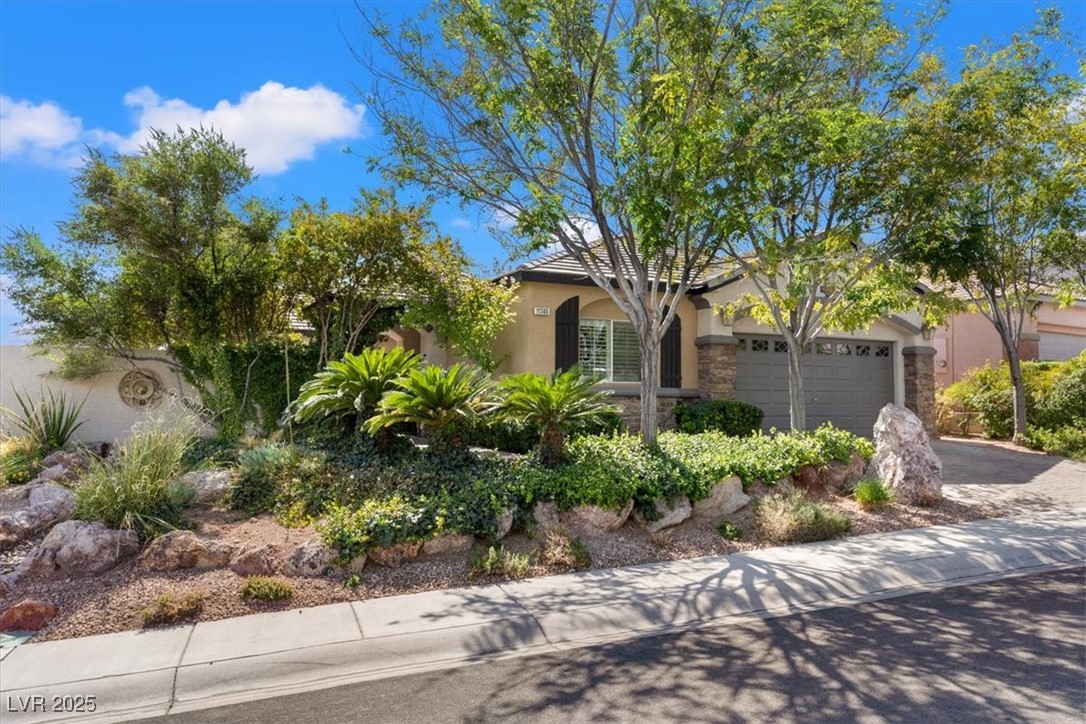 11745 Cashmere Mist Avenue