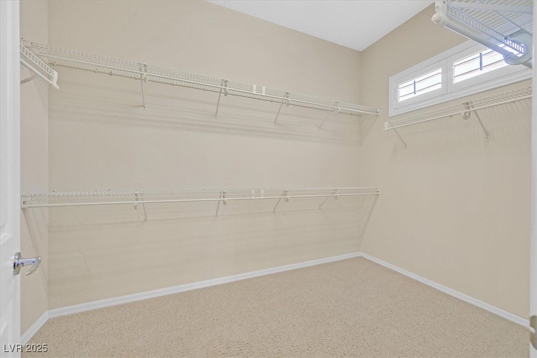 2899 BROOK TROUT Court