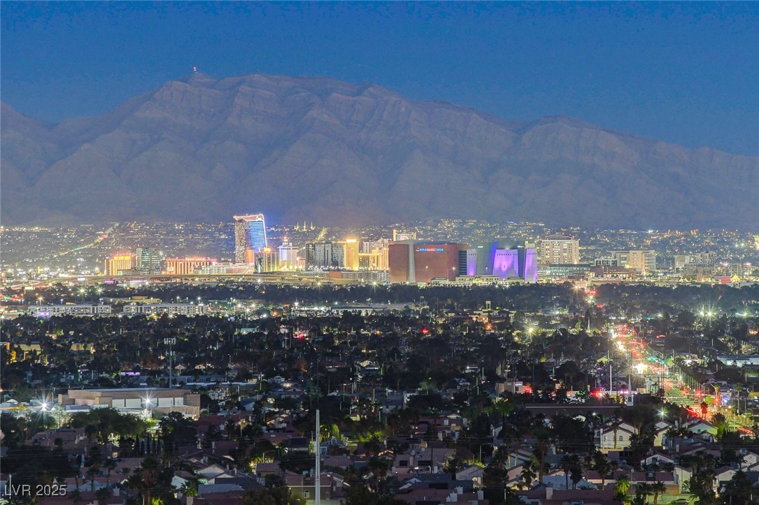 9101 Alta Drive 1406