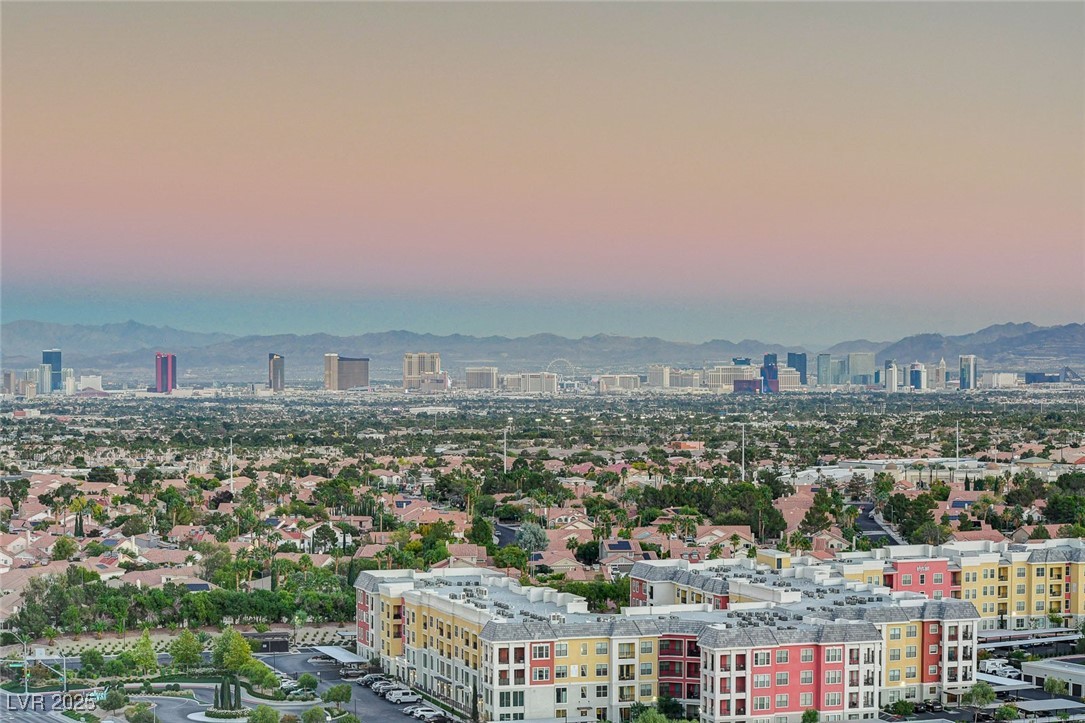 9101 Alta Drive 1406