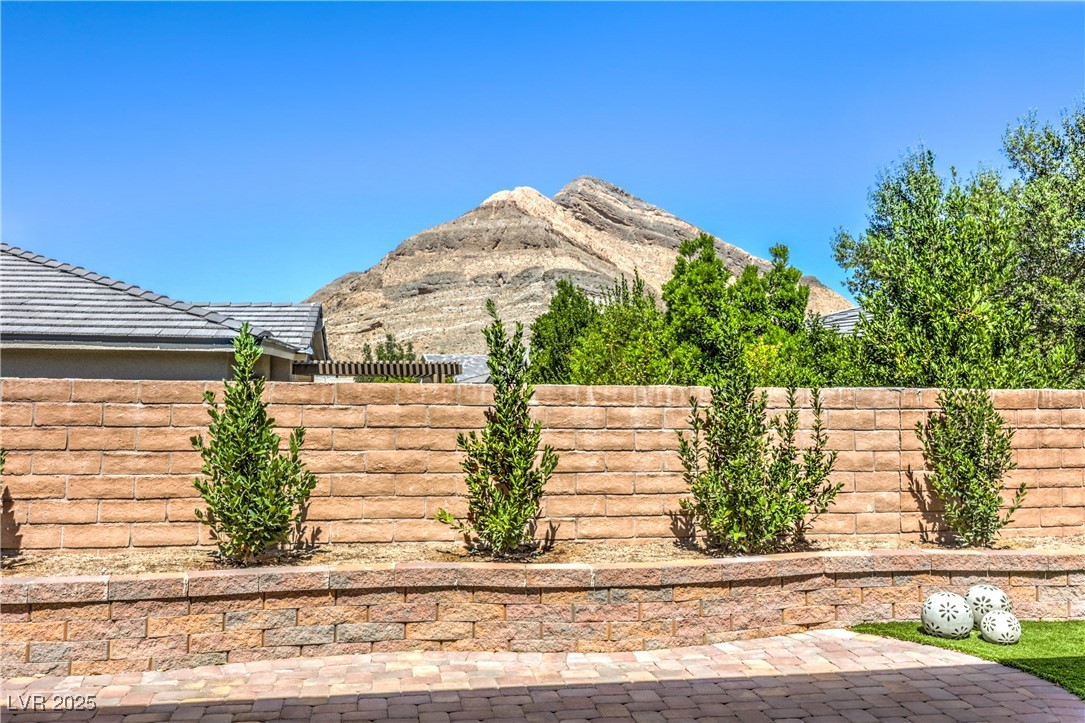 11080 Black Fire Opal Drive