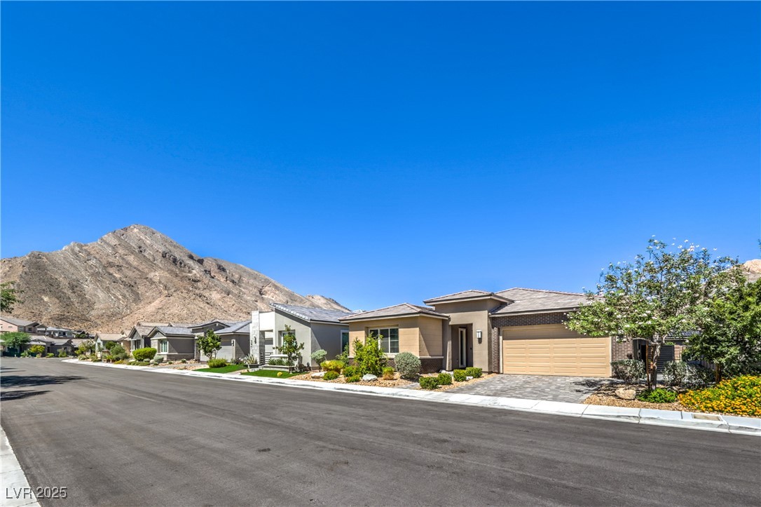 11080 Black Fire Opal Drive