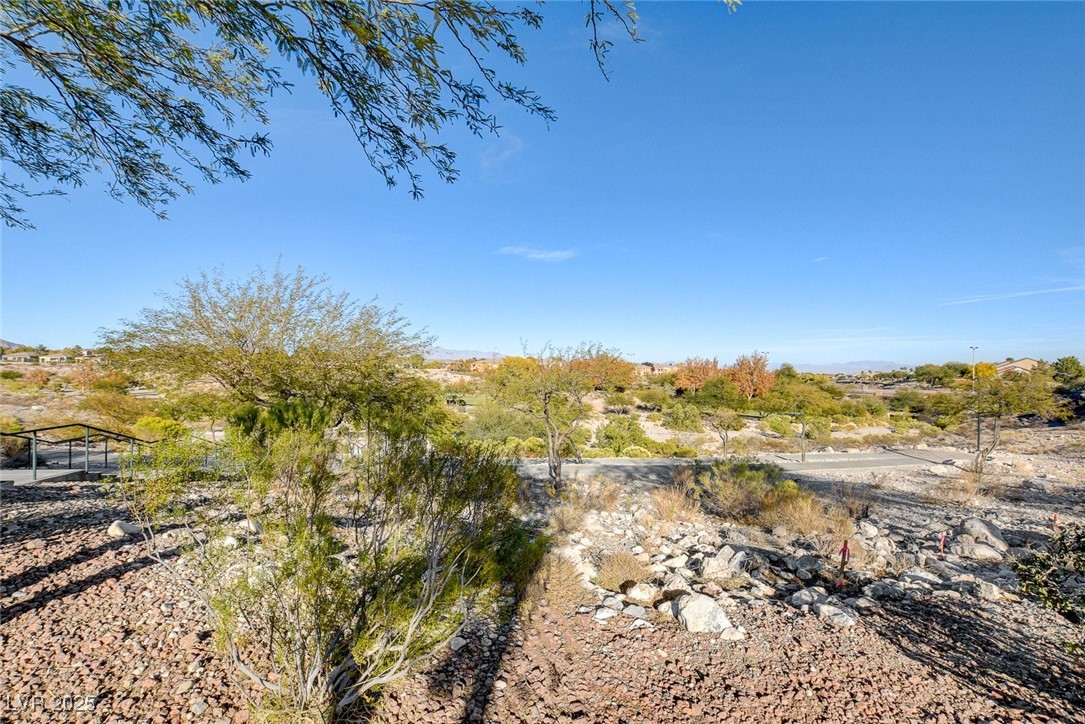 749 Chase Tree Street