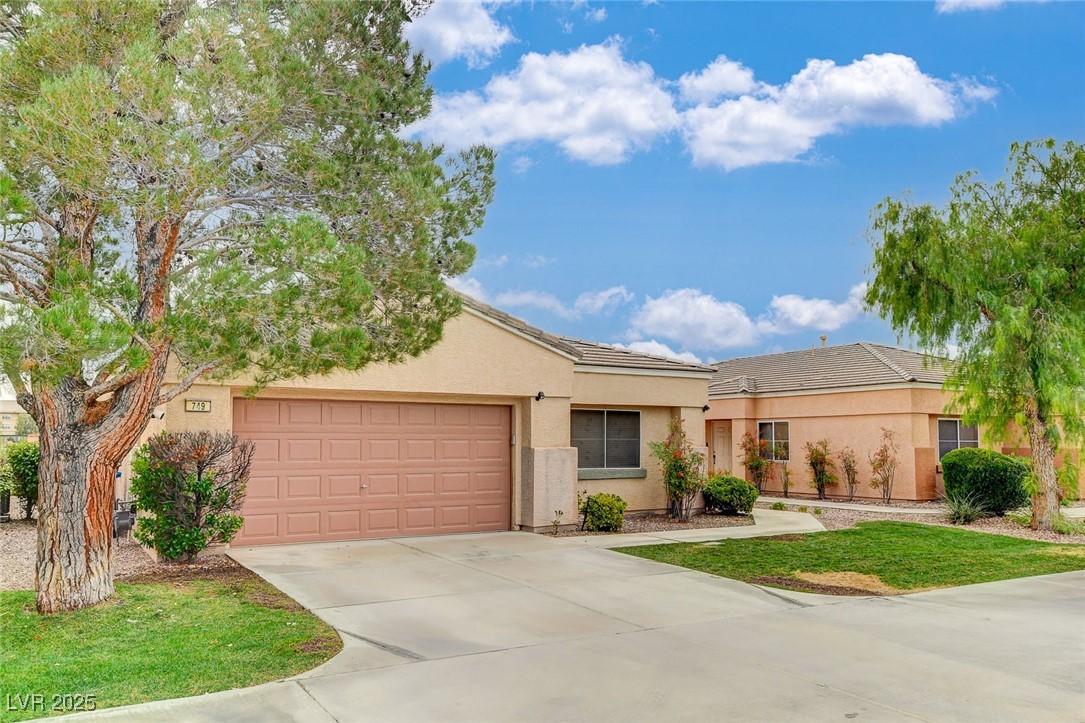 749 Chase Tree Street