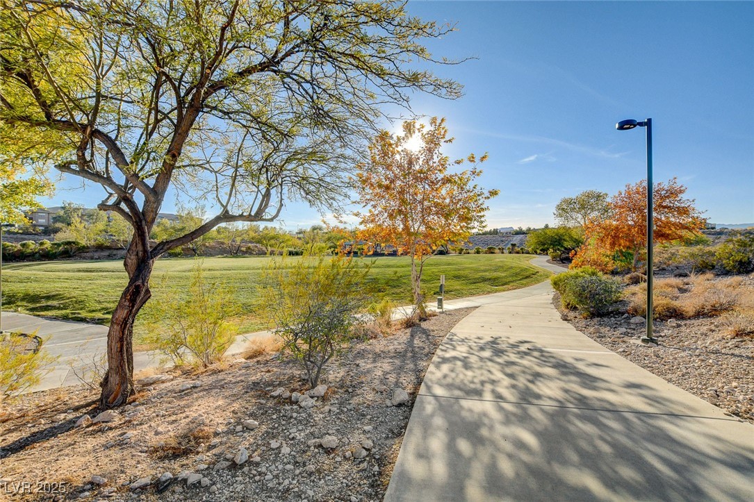 749 Chase Tree Street