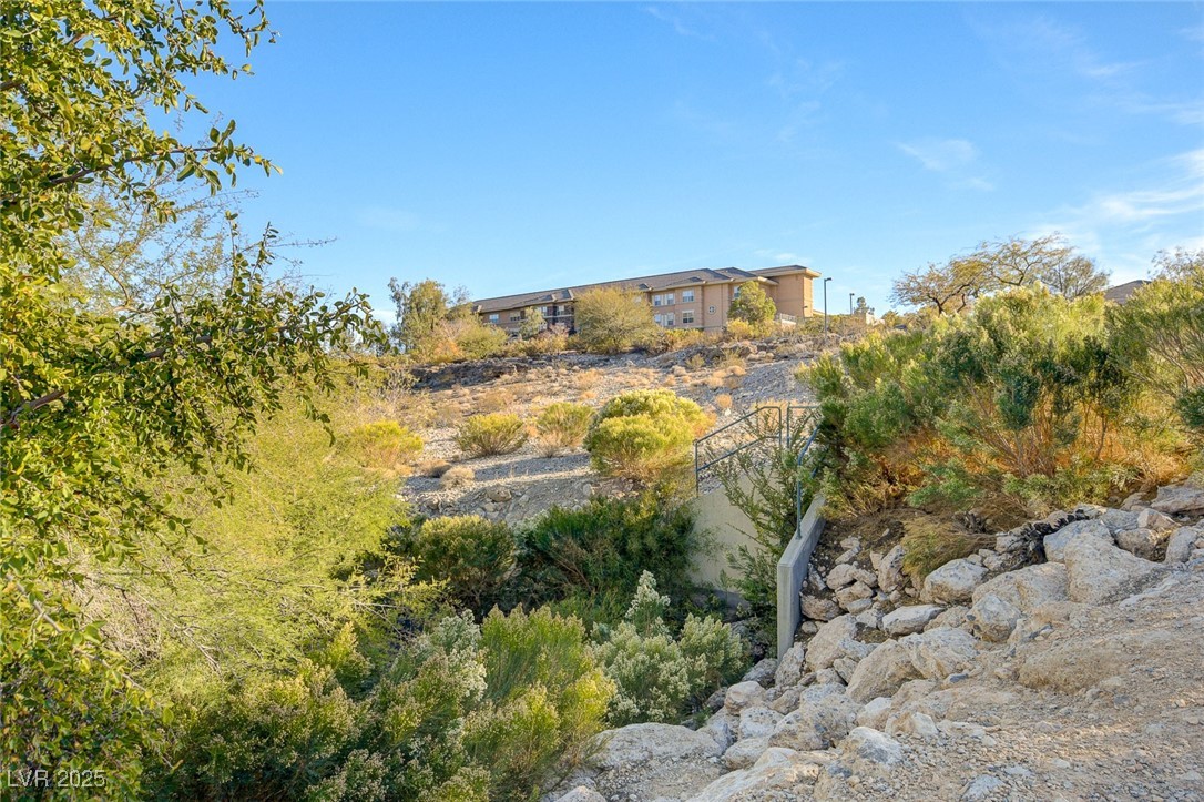 749 Chase Tree Street