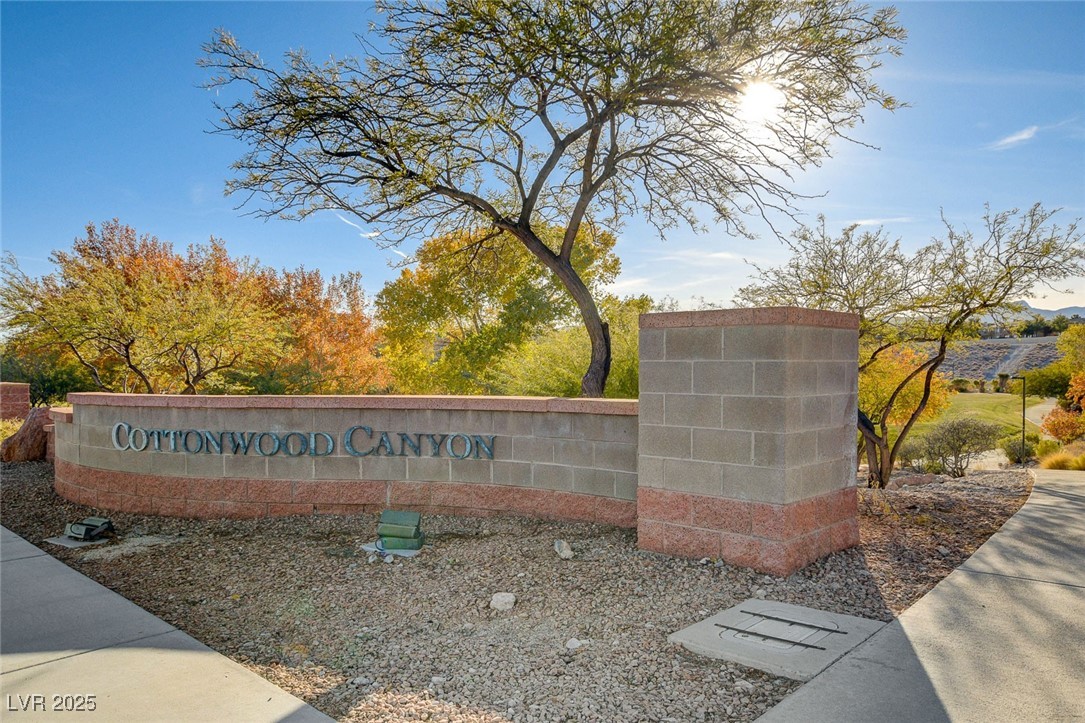 749 Chase Tree Street