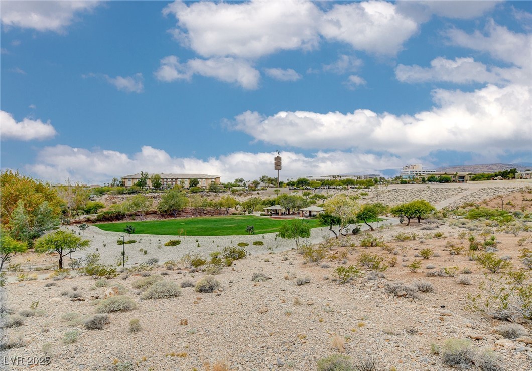 749 Chase Tree Street