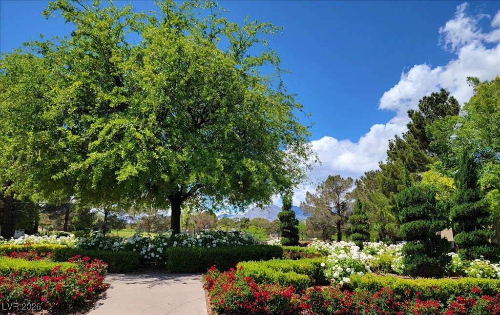 1805 Corta Bella Drive