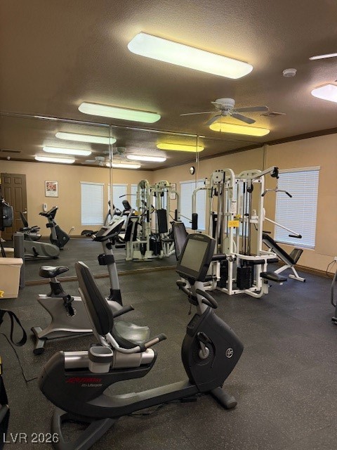 1150 North Buffalo Drive 2012