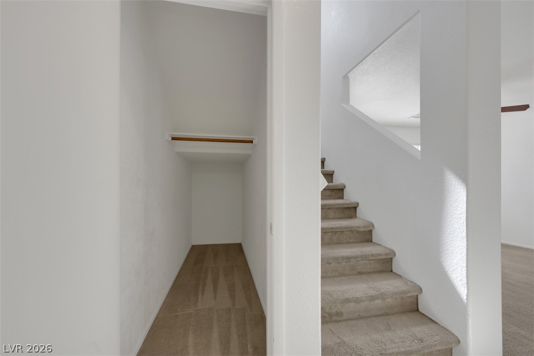 1959 Towering Pines Street