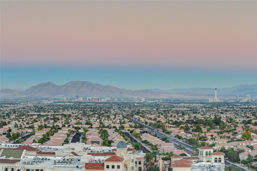 9101 Alta Drive 1406