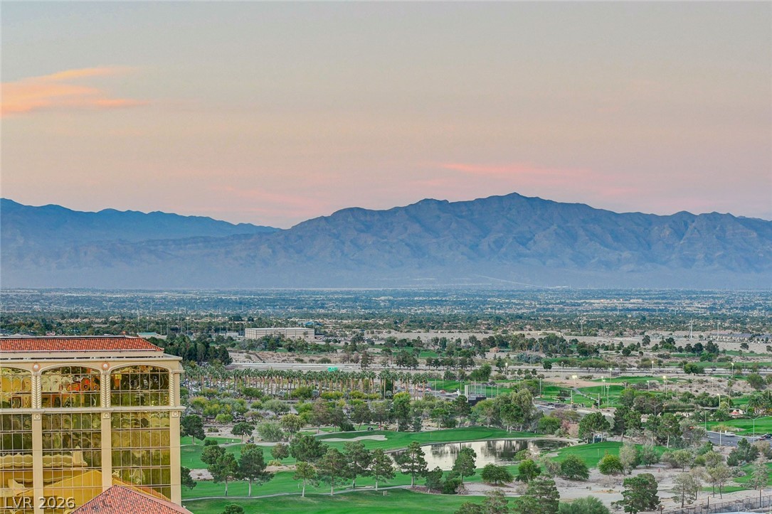 9101 Alta Drive 1406