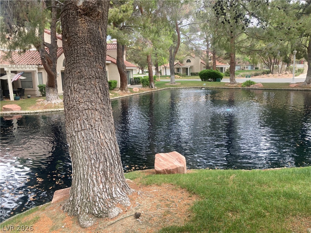 7061 Bright Springs Court