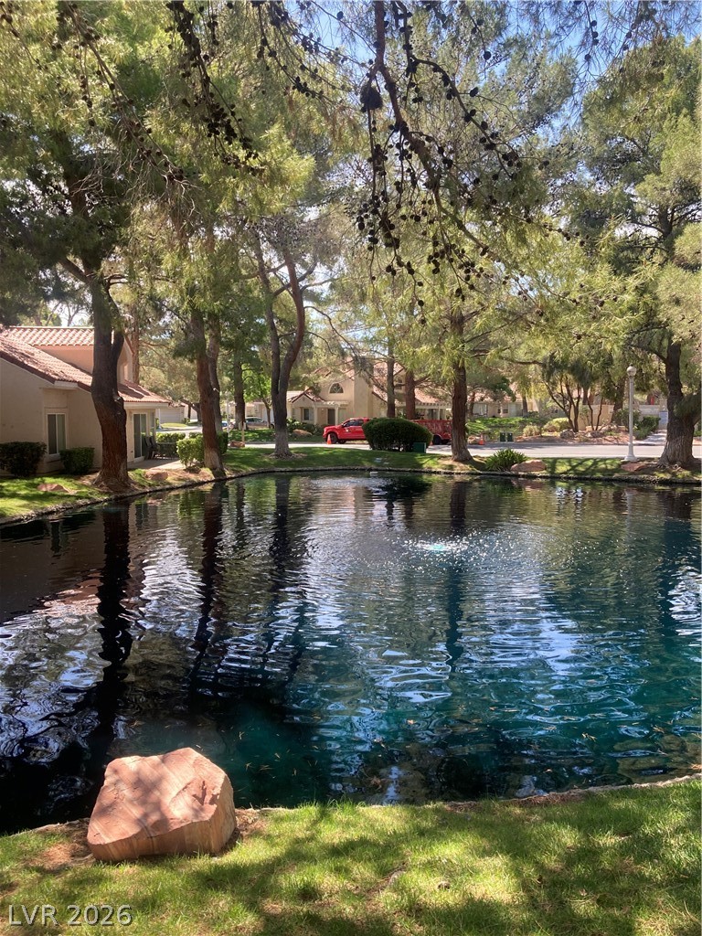 7061 Bright Springs Court