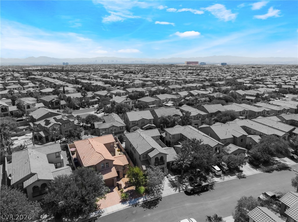 528 Bachelor Button Street