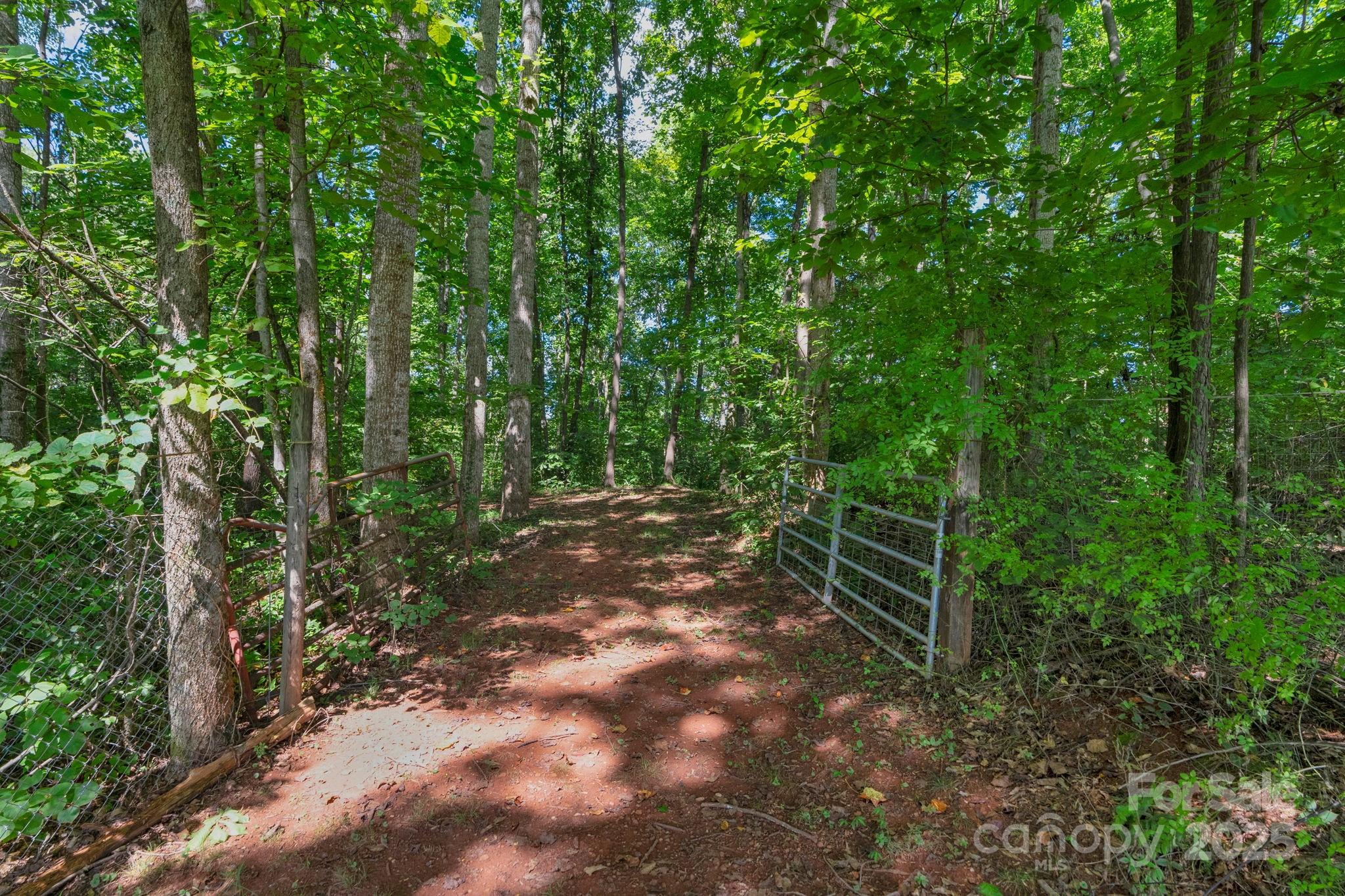 1259 Haywood Court