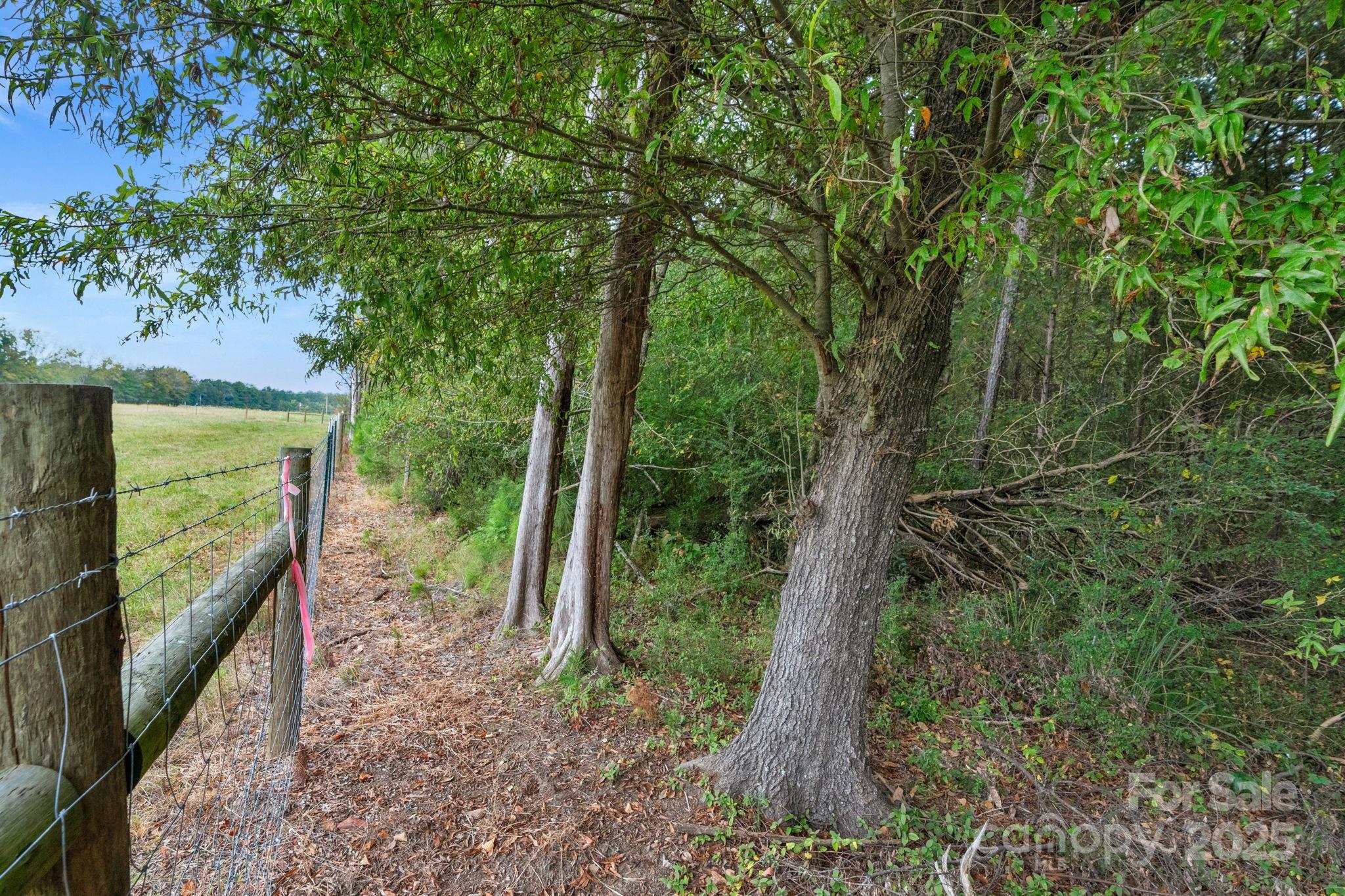 4157 Overlook Road