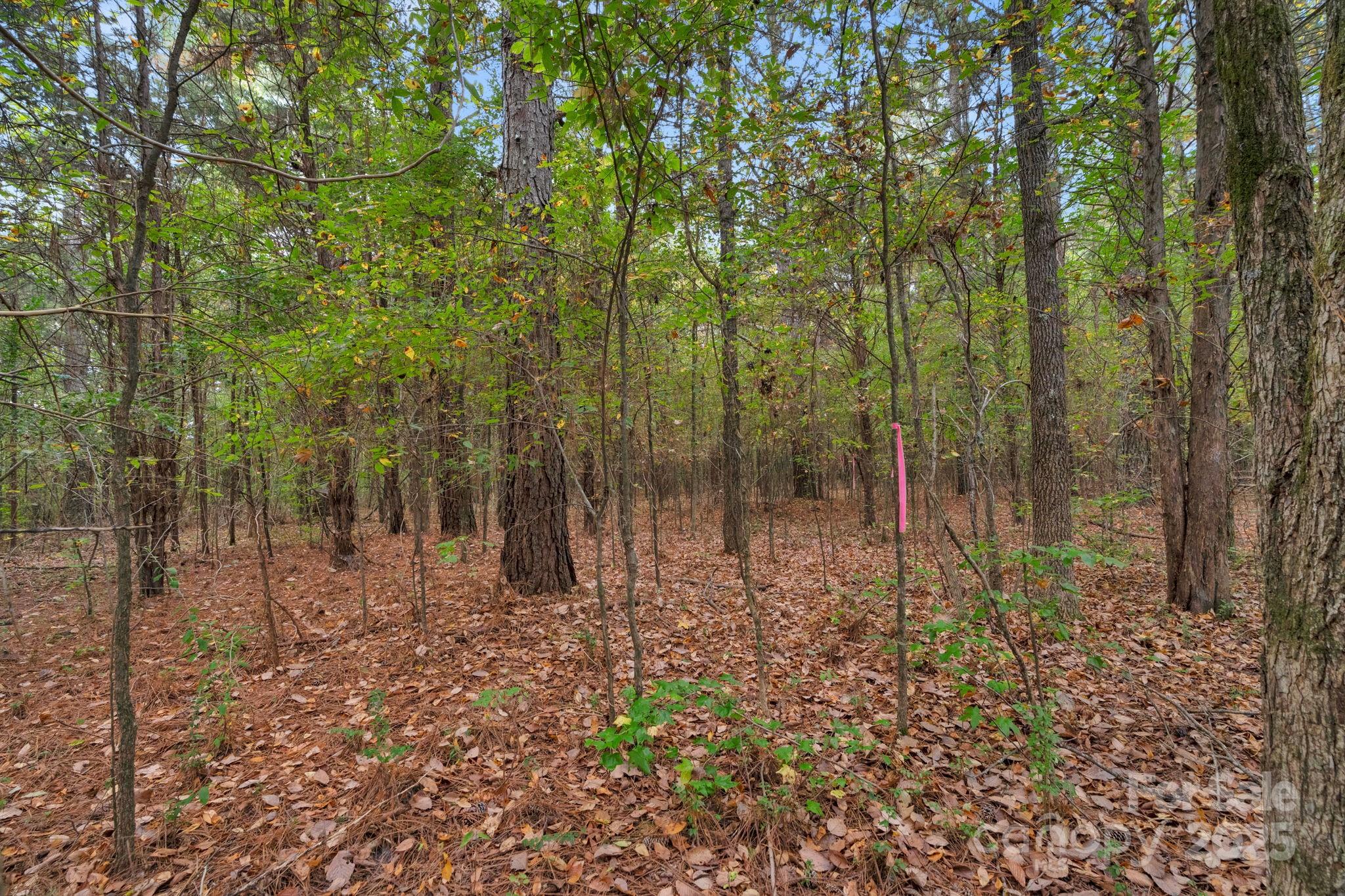 4157 Overlook Road