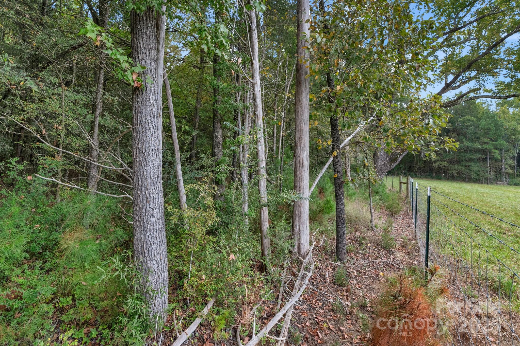 4157 Overlook Road
