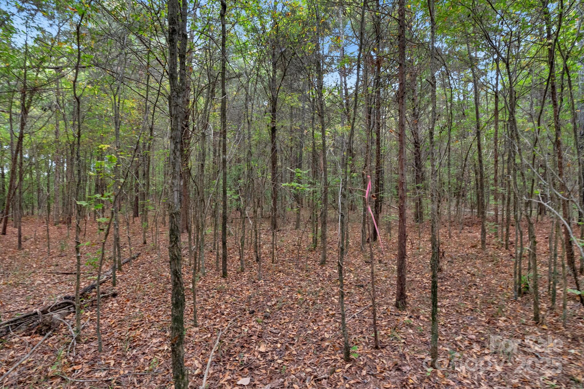 4157 Overlook Road