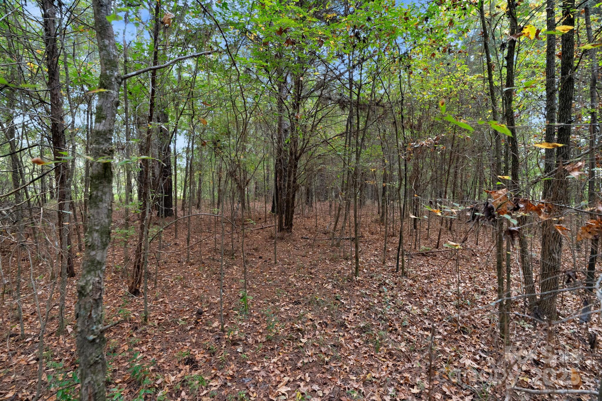 4157 Overlook Road