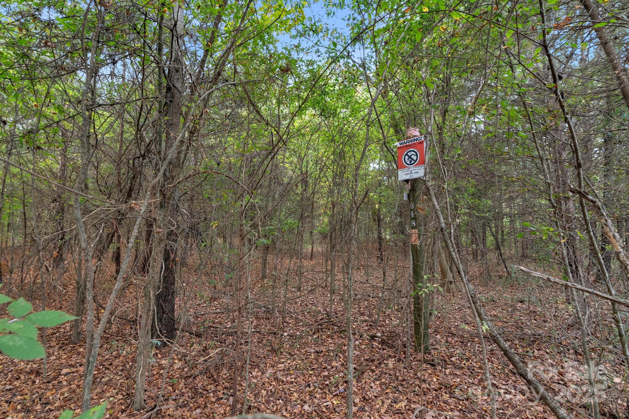 4157 Overlook Road