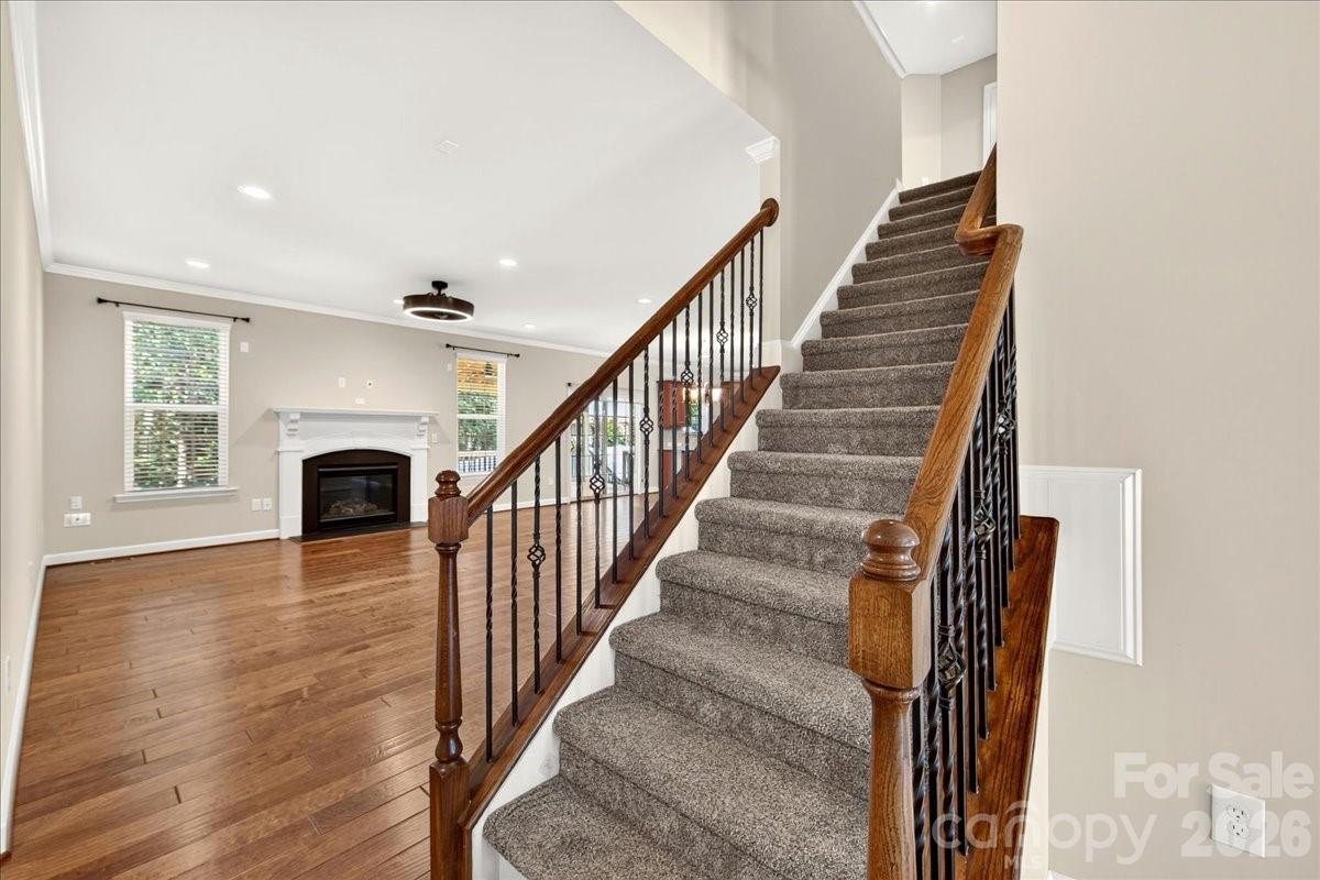 108 Timberfalls Court