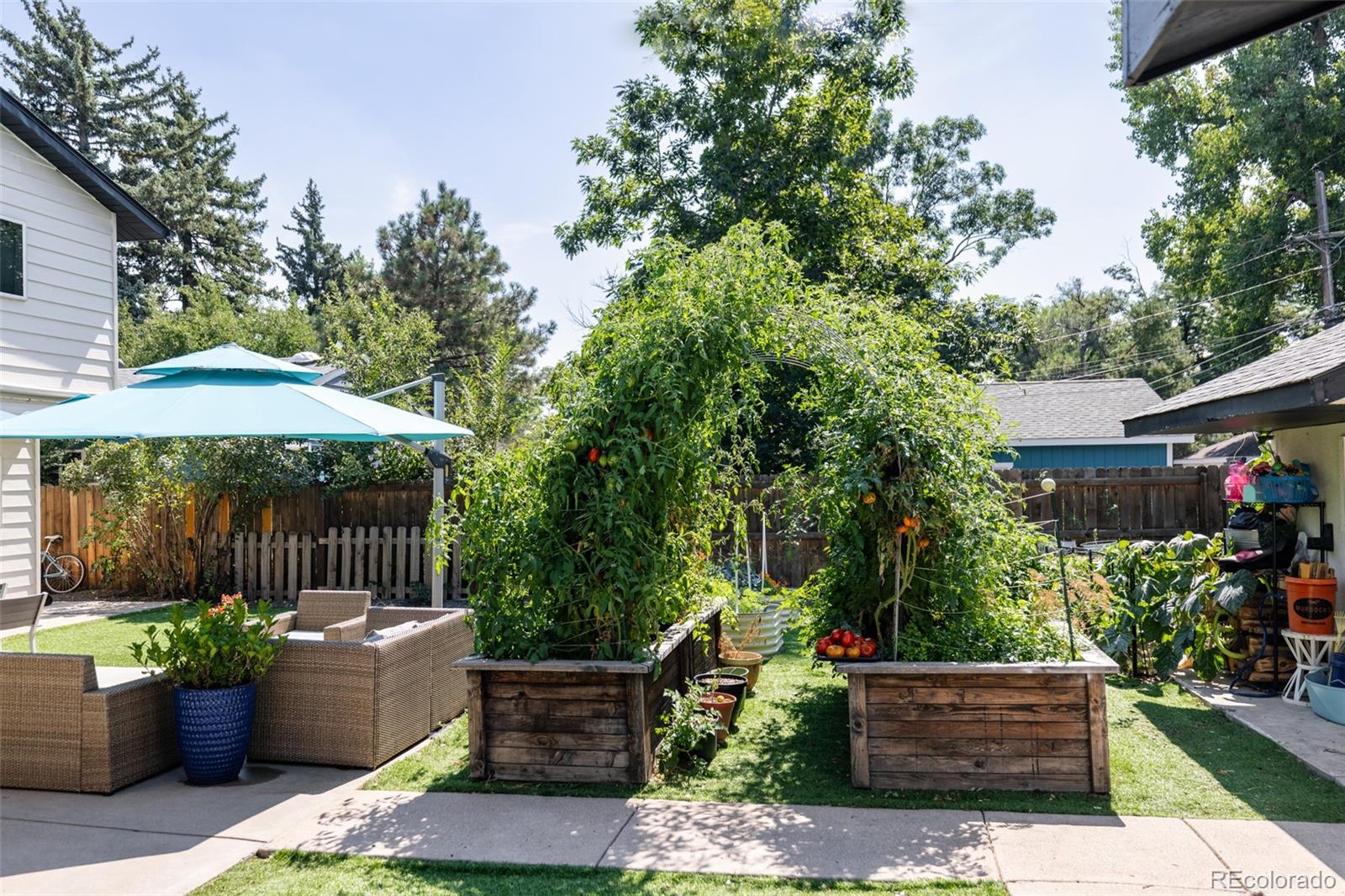 2435 Harlan Street
