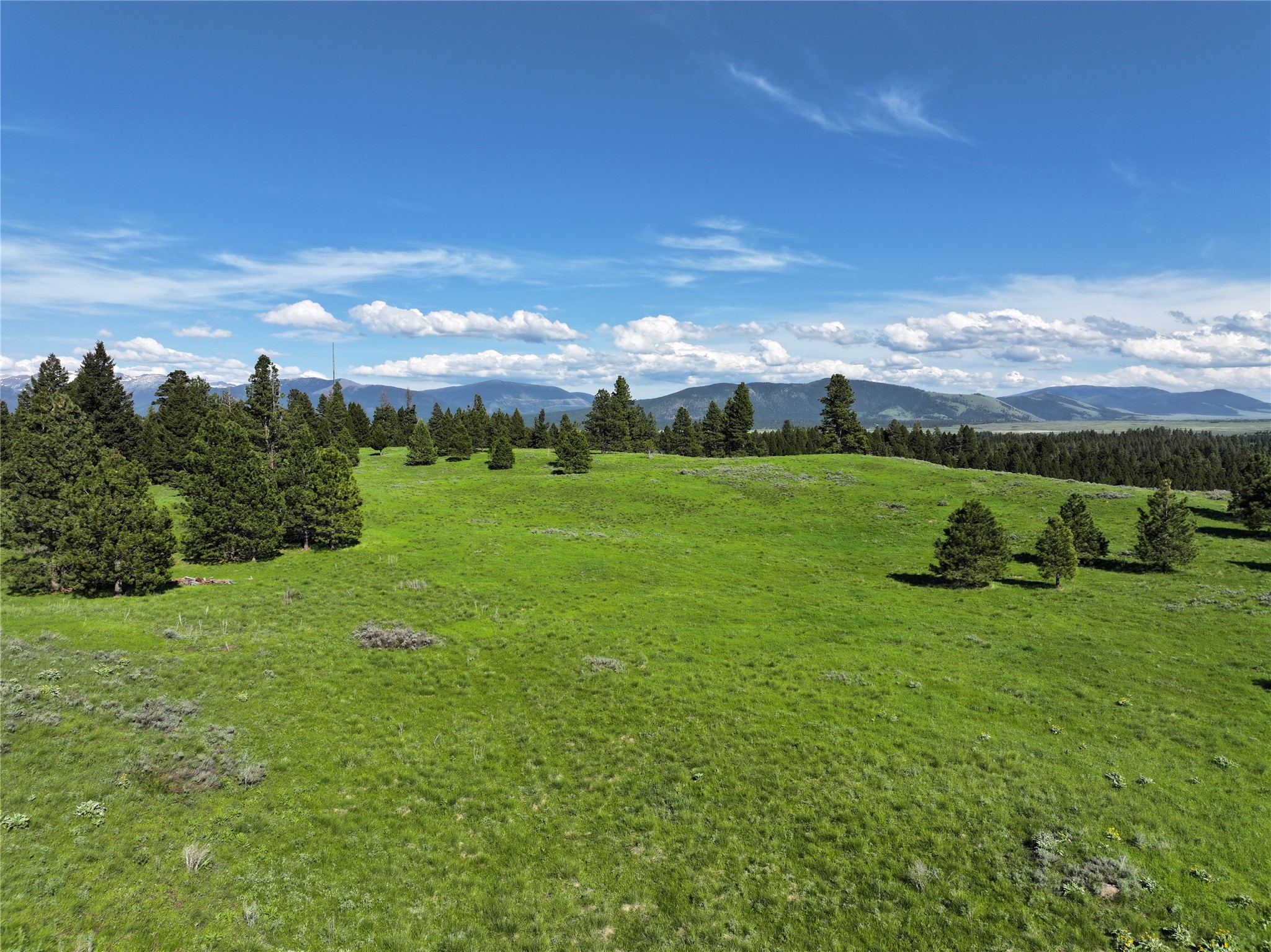 675 Dry Gulch Road