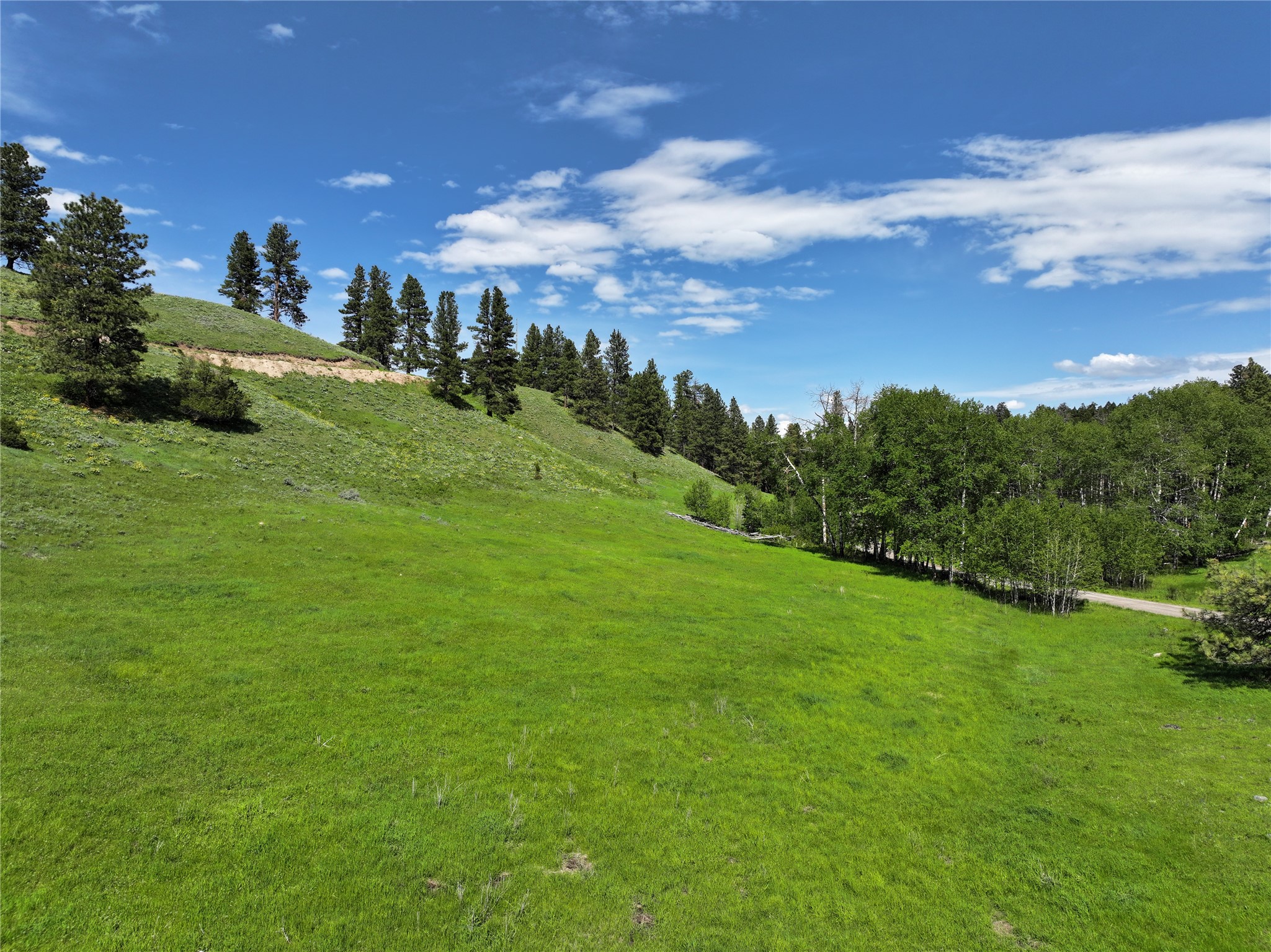 675 Dry Gulch Road