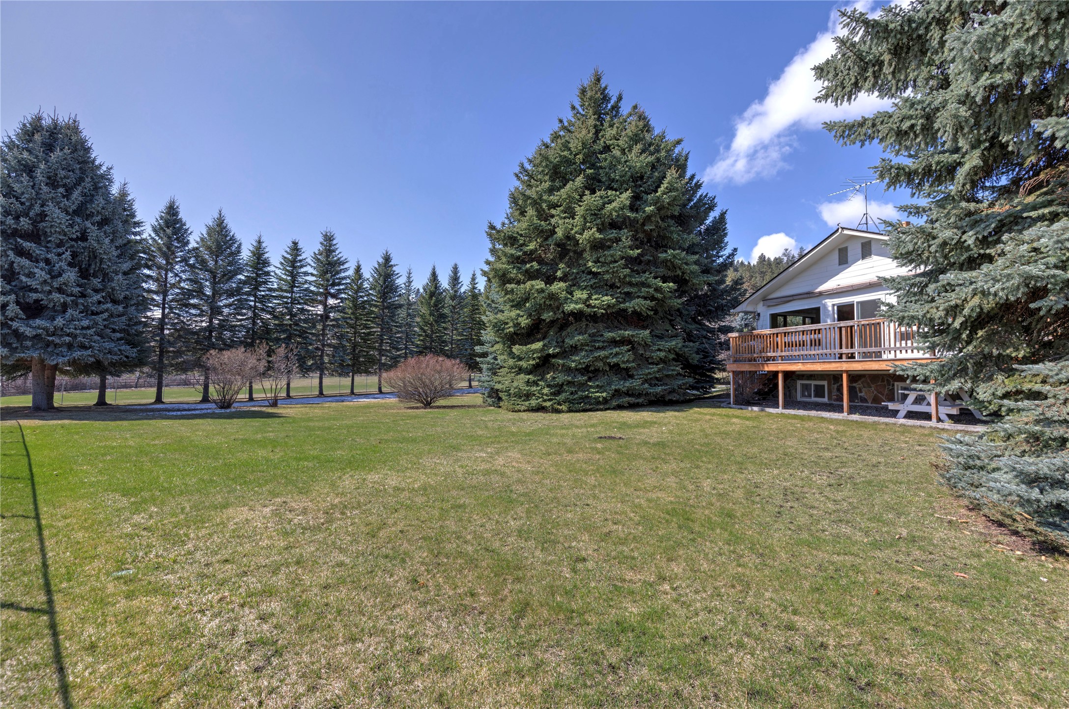 White house with a raised wooden deck, broad lawn, and tall evergreen trees.