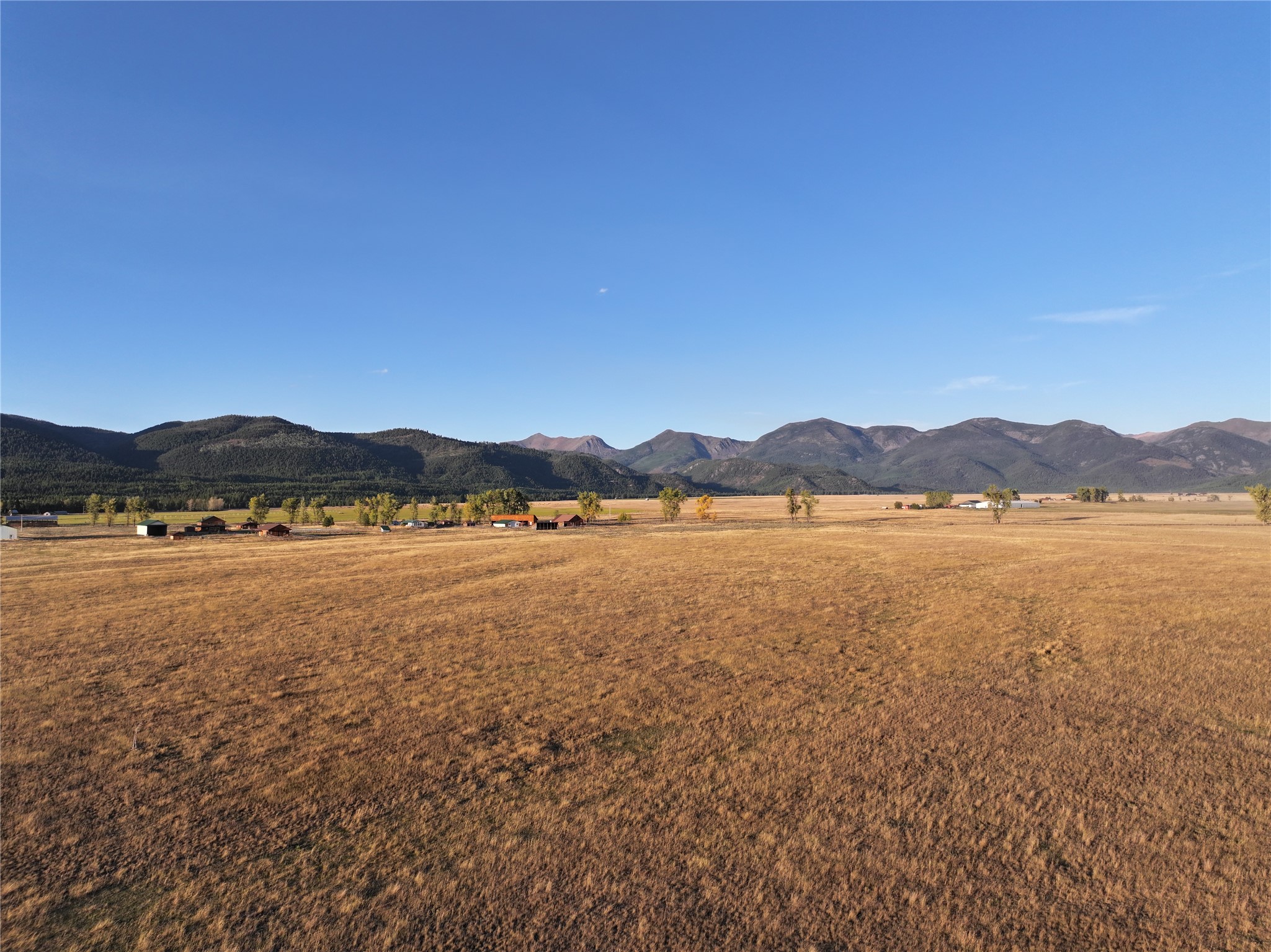 NHN Rolling Dog Ranch Lane