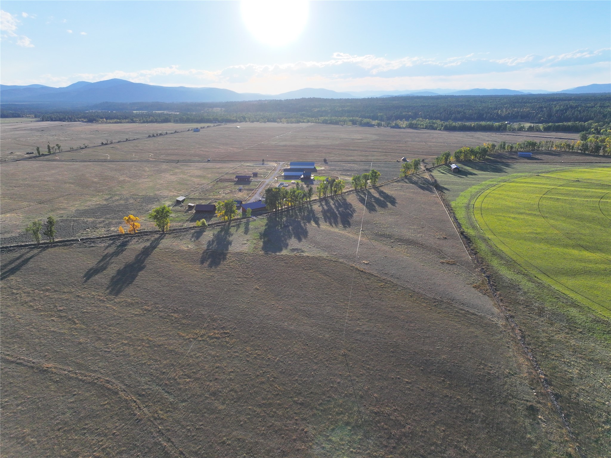 NHN Rolling Dog Ranch Lane