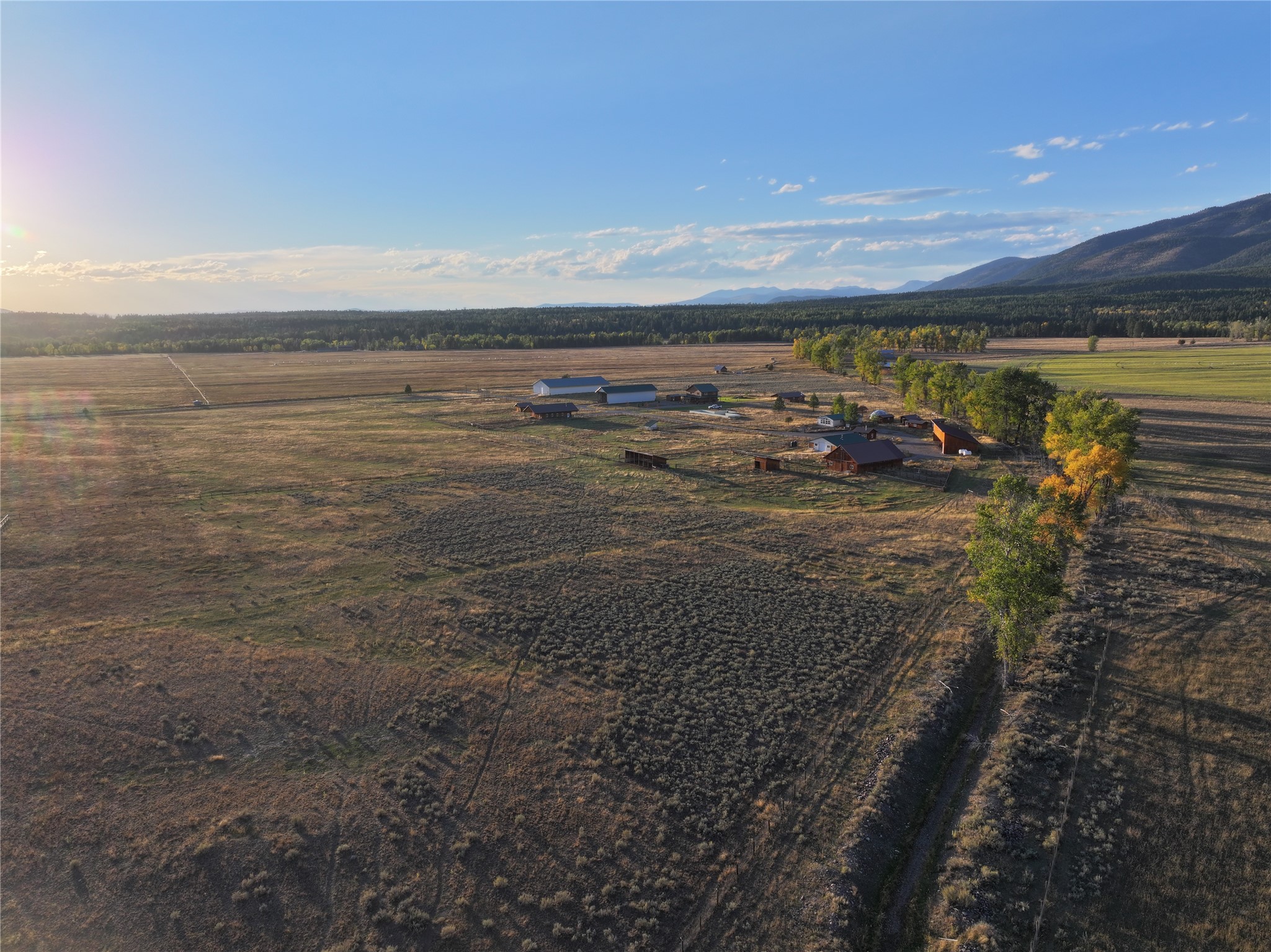 NHN Rolling Dog Ranch Lane