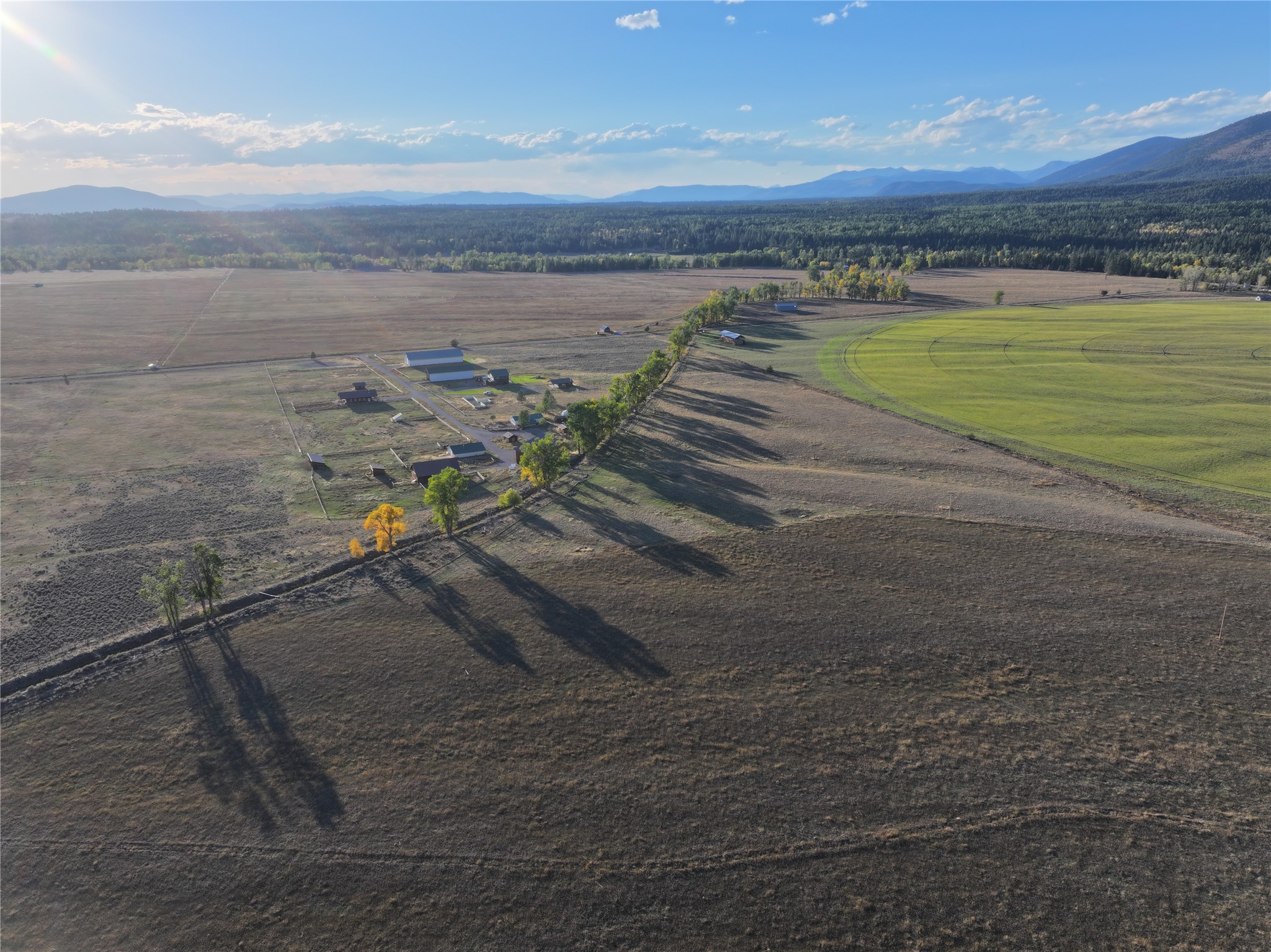 NHN Rolling Dog Ranch Lane