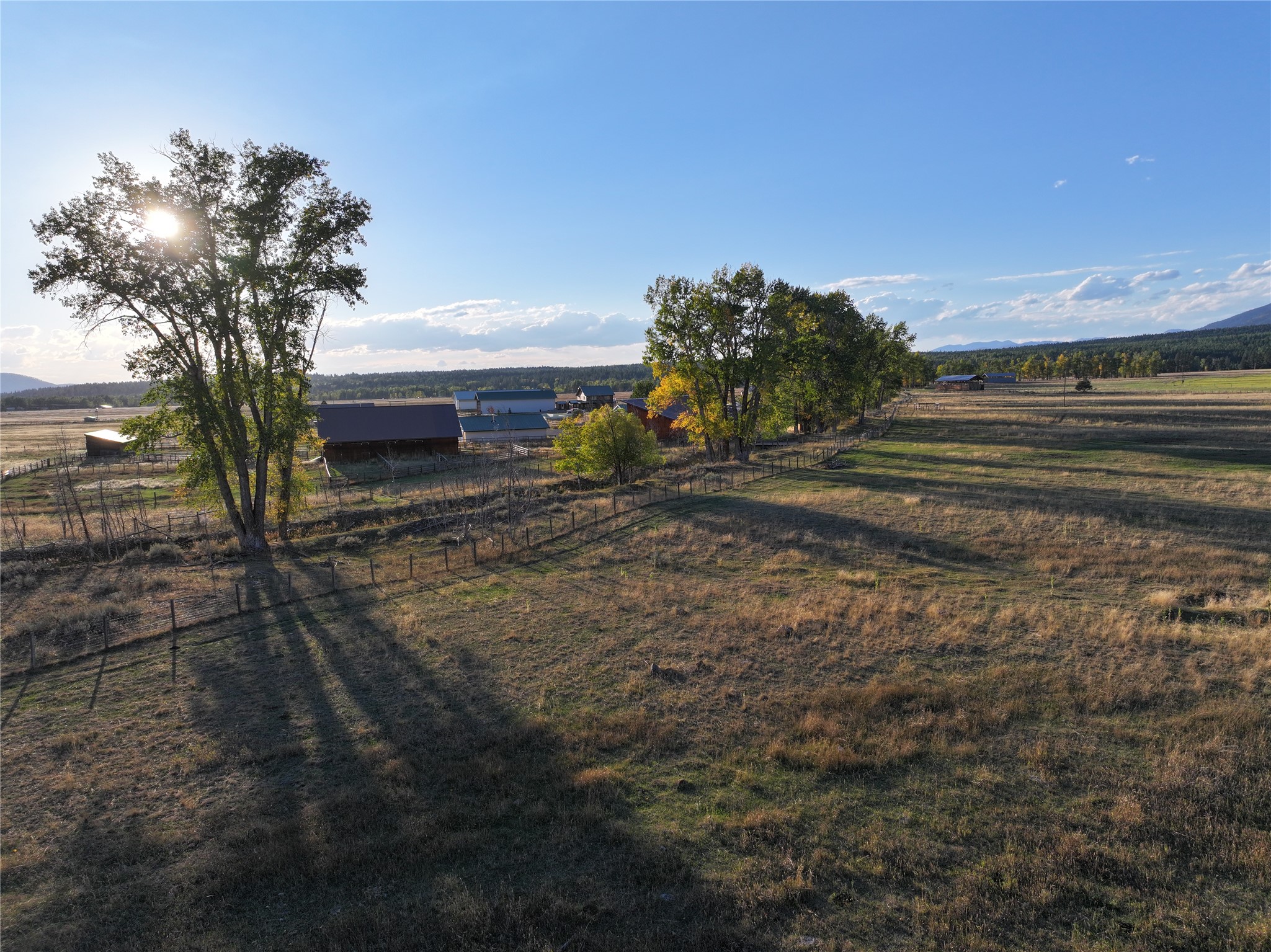 NHN Rolling Dog Ranch Lane